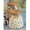 1 pc GTR Glass Food Storage Jar With Wooden Lid The AnS Store