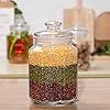 Kitchen Canister Airtight Food Storage Jar 2300 ML (Pack of 1) The AnS Store